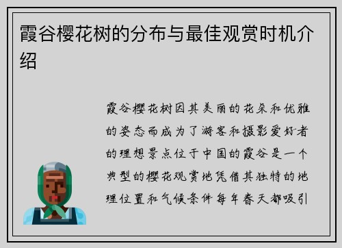 霞谷樱花树的分布与最佳观赏时机介绍